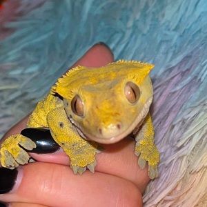 Meet your Posher, Leah